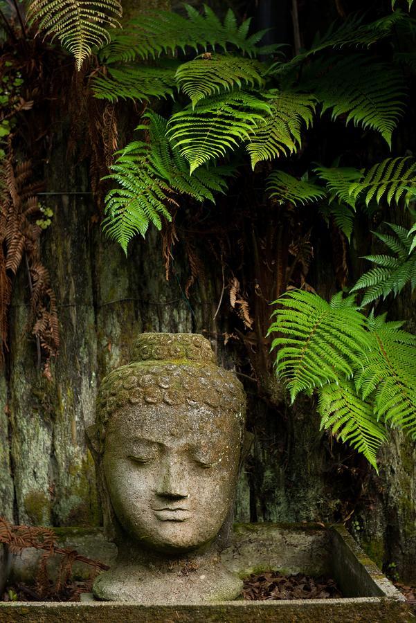 Hamurana Lodge Rotorua Dış mekan fotoğraf