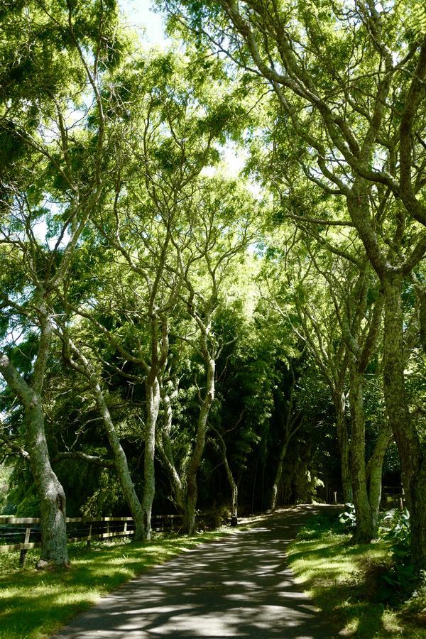 Hamurana Lodge Rotorua Dış mekan fotoğraf